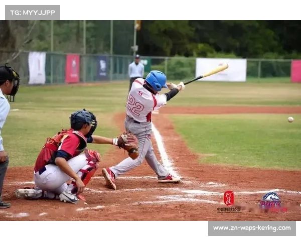 中国棒球联赛总决赛现疑似本垒打，司线裁判判界外引争议